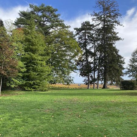 Manoir De Villamont Savigny-lès-Beaune Exteriér fotografie