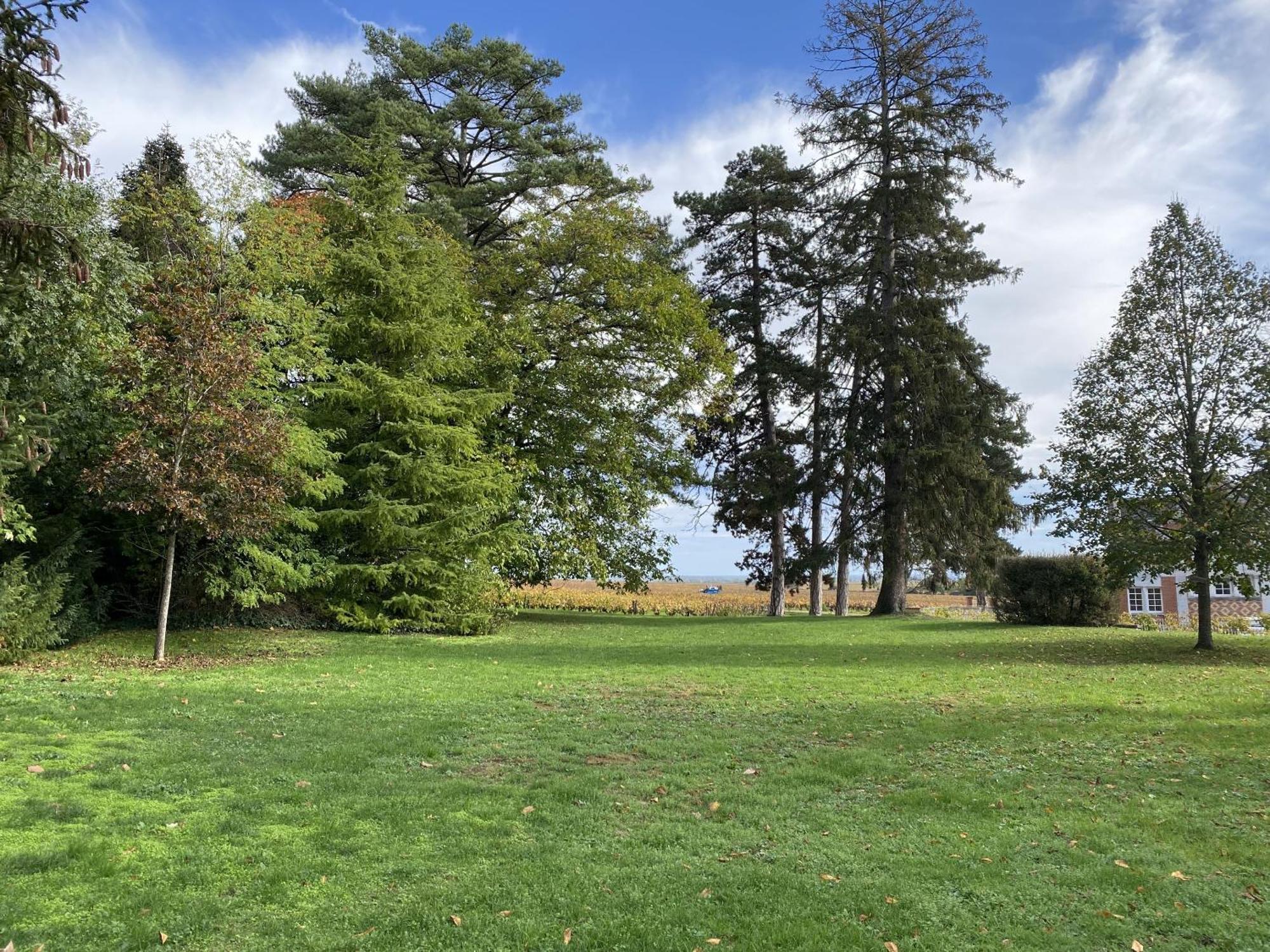 Manoir De Villamont Savigny-lès-Beaune Exteriér fotografie